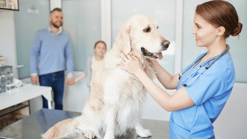 Endocrinologia em animais de companhia