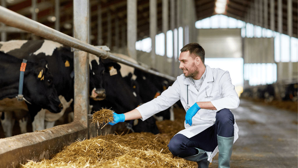 Curso de Comportamento e Bem Estar Animal
