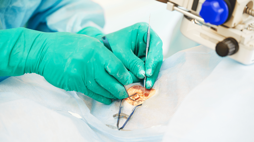 Curso de Oftalmologia Veterinária