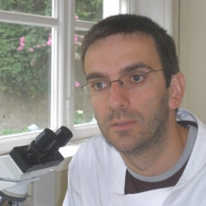 Ricardo Marcos Formado em Medicina Veterinária (ICBAS) e em Medicina (Mestrado Integrado em Medicina, FMUP) pela Universidade do Porto. Doutorado em Ciências Veterinárias pela Universidade do Porto. É Professor Auxiliar do ICBAS-UP. Corresponsável pelo diagnóstico nos Serviços de Diagnóstico Citológico e Hematológico do Laboratório de Histologia e Embriologia do ICBAS. Experiência na organização e lecionação de cursos breves/pós-graduações na área da Citologia Veterinária desde de 2005. Vencedor de três prémios de inovação pedagógica da Universidade do Porto. Autor de mais de 50 artigos em revistas internacionais nas áreas da Hepatologia, Patologia Comparada, Hematologia e Citologia Veterinária. É coautor do Atlas de Citologia Veterinária publicado pela Lidel.