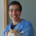 Tomás Magalhães Mestre em Medicina Veterinária pela Universidade de Trás-os-Montes e Alto Douro (UTAD) e Doutorando em Ciências Veterinárias na mesma universidade, com bolsa de investigação concedida pela Fundação para a Ciência e a Tecnologia (FCT), no âmbito de um projeto sobre a influência do ácido eicosapentaenóico (EPA) e do ácido docosahexaenóico (DHA) no maneio da doença renal crónica felina. Para além da investigação, tem-se dedicado à prática clínica em animais de companhia, tendo também tido experiência profissional prévia como delegado de informação veterinária e consultor numa empresa dedicada à alimentação canina. Da sua produção científica, têm resultado vários artigos científicos publicados em revistas indexadas, bem como diferentes comunicações em formato de poster em congressos nacionais e internacionais. Realizou vários cursos de formação complementar nas áreas de medicina interna, nutrição clínica e medicina felina, tendo certificação Fear Free, certificação e licença para uso de animais para fins experimentais/ científicos e ainda Certificado de Competências Pedagógicas (F707668 / 2021). Atualmente é ainda Presidente do Grupo de Interesse Especial em Medicina Felina (GIEFEL) da Associação Portuguesa de Médicos Veterinários Especialistas em Animais de Companhia (APMVEAC).