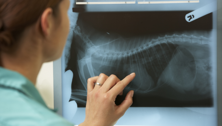 Radiologia Torácica e Tomografia Computorizada